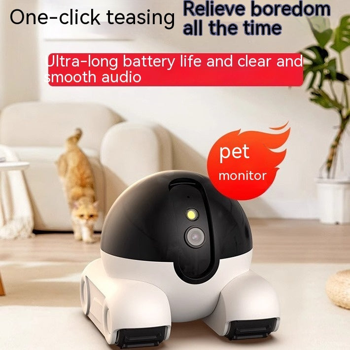 Peace of Mind Pet Camera – Love from Afar