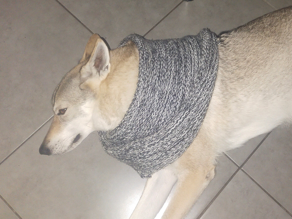 Dog wearing a gray knitted cowl on a tiled floor