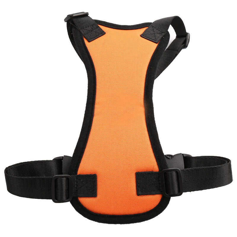 pet ride along safety harness