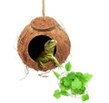 Coconut shell pet house with a lizard peeking out, accompanied by green leaves on a white background
