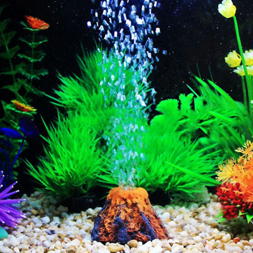 Aquarium with green plants, colorful fish, and decorative rocks.