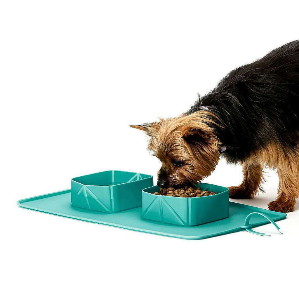 Non-Slip Folding Bowl for Pets on the Go