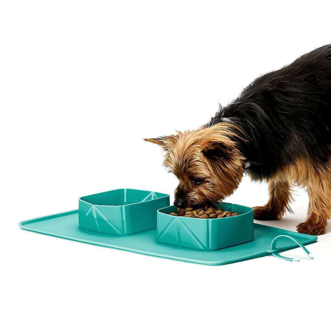 Non-Slip Folding Bowl for Pets on the Go