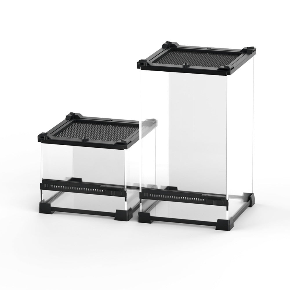 Mini Eco Terrarium for Lizards and Tiny Turtles