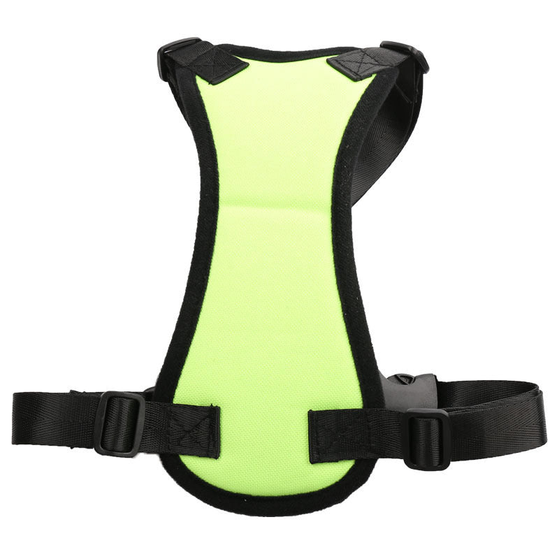 pet ride along safety harness