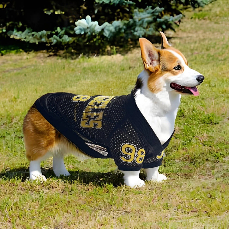 Stylish Los Angeles Dog Vest