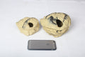 Two stone-like objects with a phone for scale on a white background
