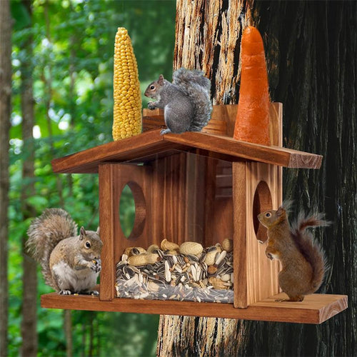 Wooden squirrel feeder with corn, carrots, and bird seeds in a forest setting