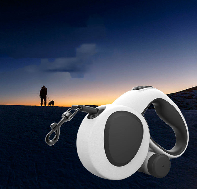 Bright Walks Ahead: LED Dog Leash for Safety