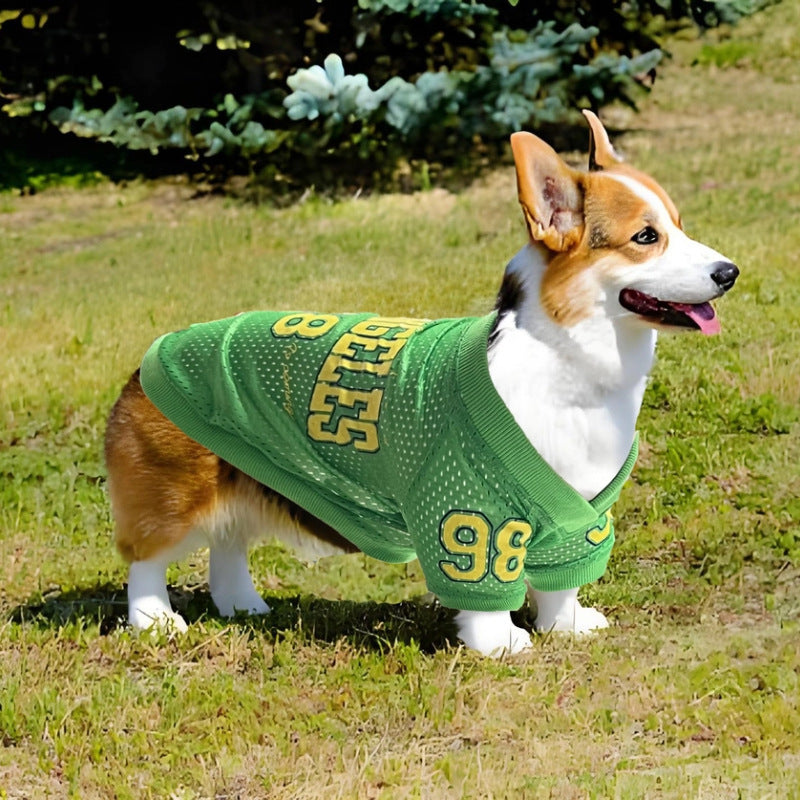 Stylish Los Angeles Dog Vest