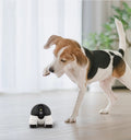Dog interacting with a small robot device on a wooden floor.