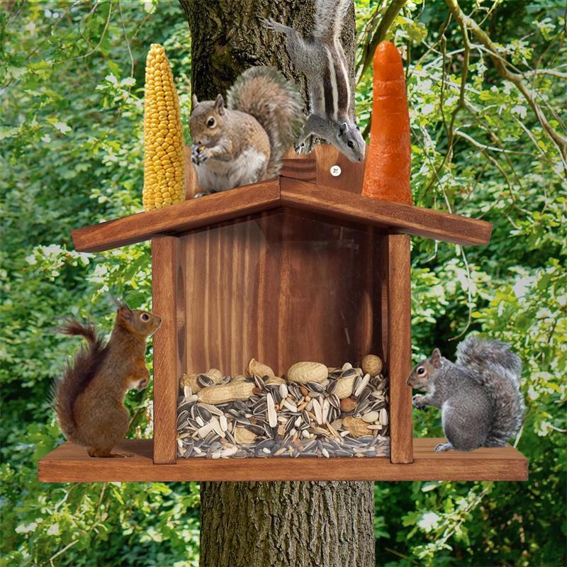 Squirrel Feeder