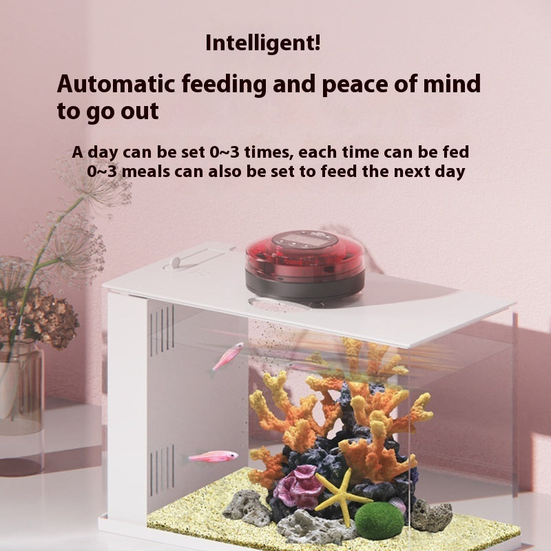 Timed Auto-Feeder for Fish