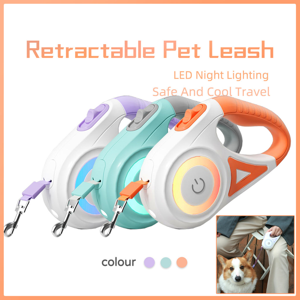Walkies Made Easy! Retractable Leash with Safety Light