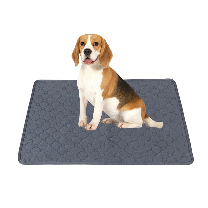 Premium Washable Pee Pads for Dogs & Puppies