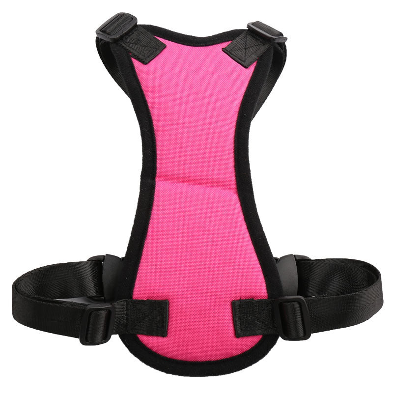 pet ride along safety harness