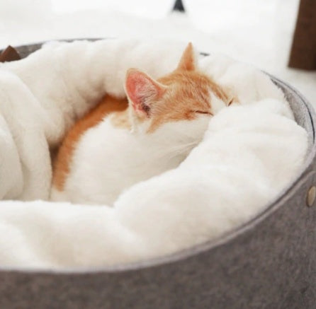 Comfy Pet Bed For Cats & Dogs