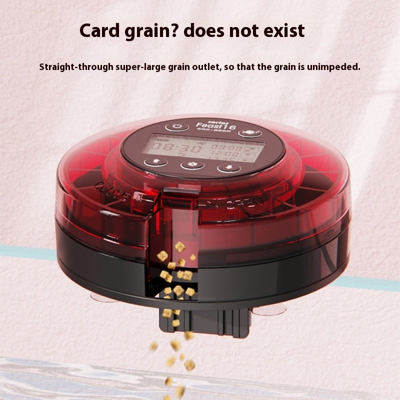 Timed Auto-Feeder for Fish