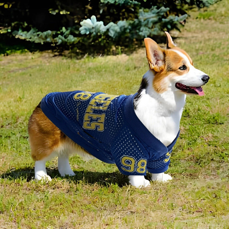 Stylish Los Angeles Dog Vest
