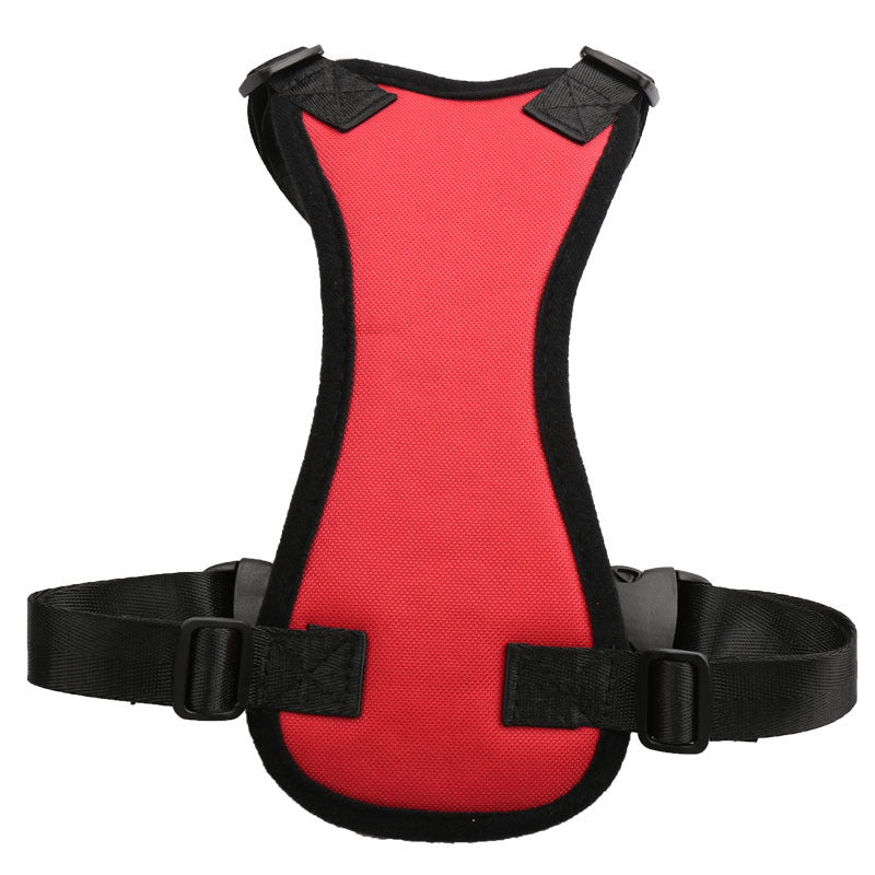 pet ride along safety harness