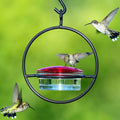 Hummingbird feeder with hummingbirds around it on a green background