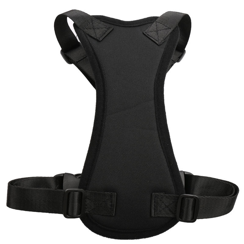 pet ride along safety harness