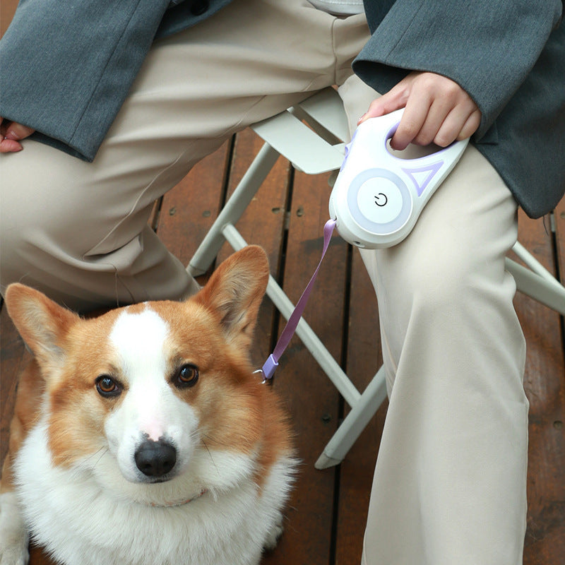 Walkies Made Easy! Retractable Leash with Safety Light