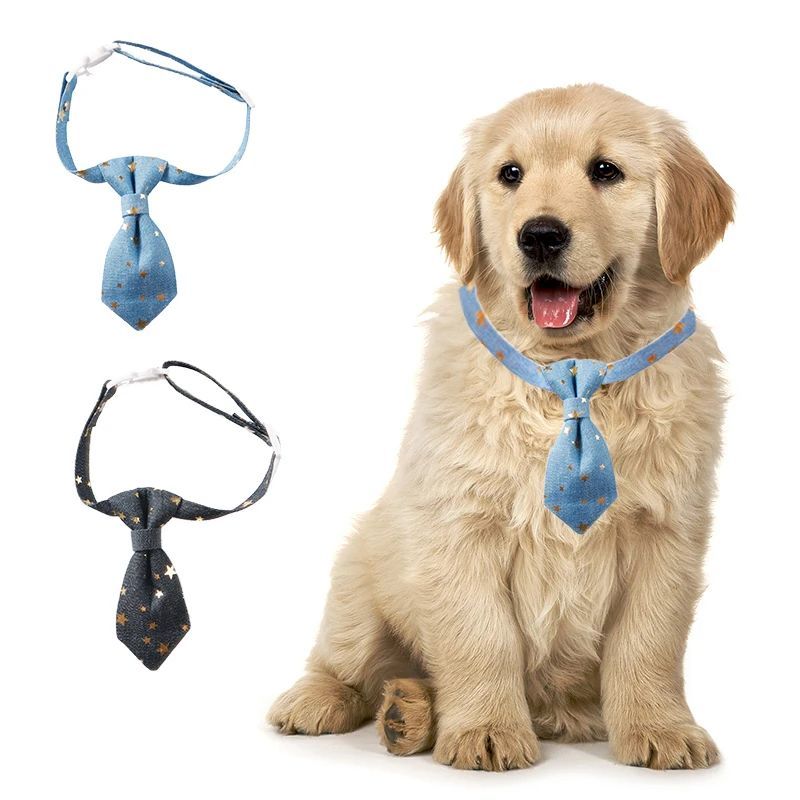 distinguished gentleman's dog tie collar