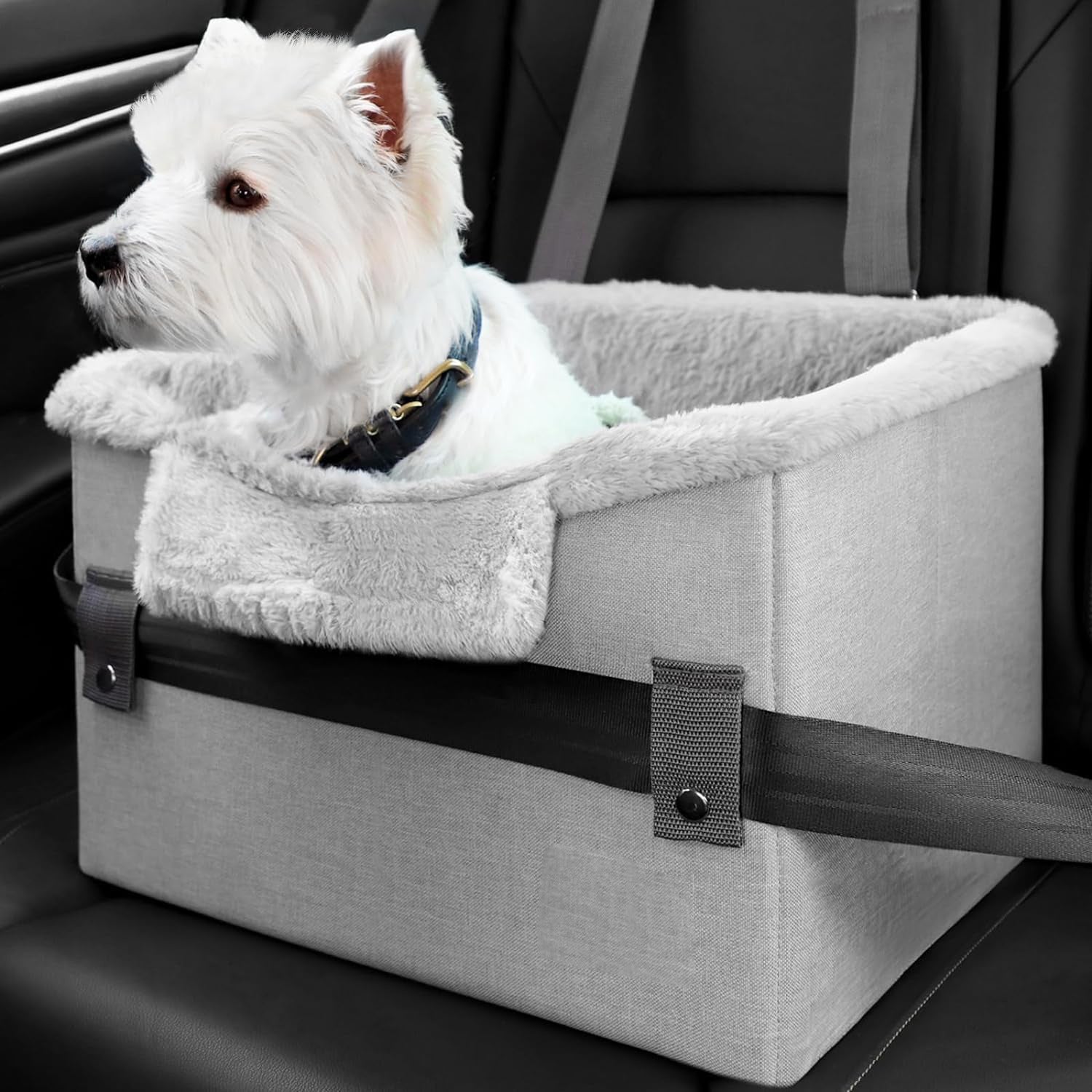 Travel Buddy Car Seat for Small Pets