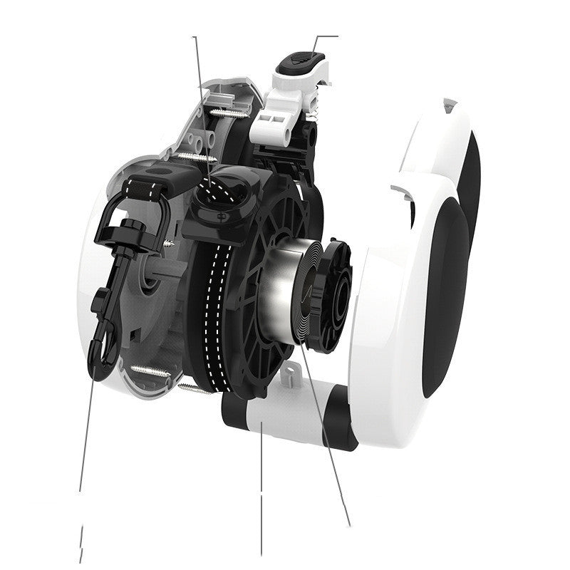 Bright Walks Ahead: LED Dog Leash for Safety