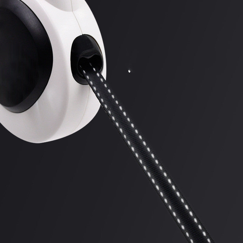 Bright Walks Ahead: LED Dog Leash for Safety