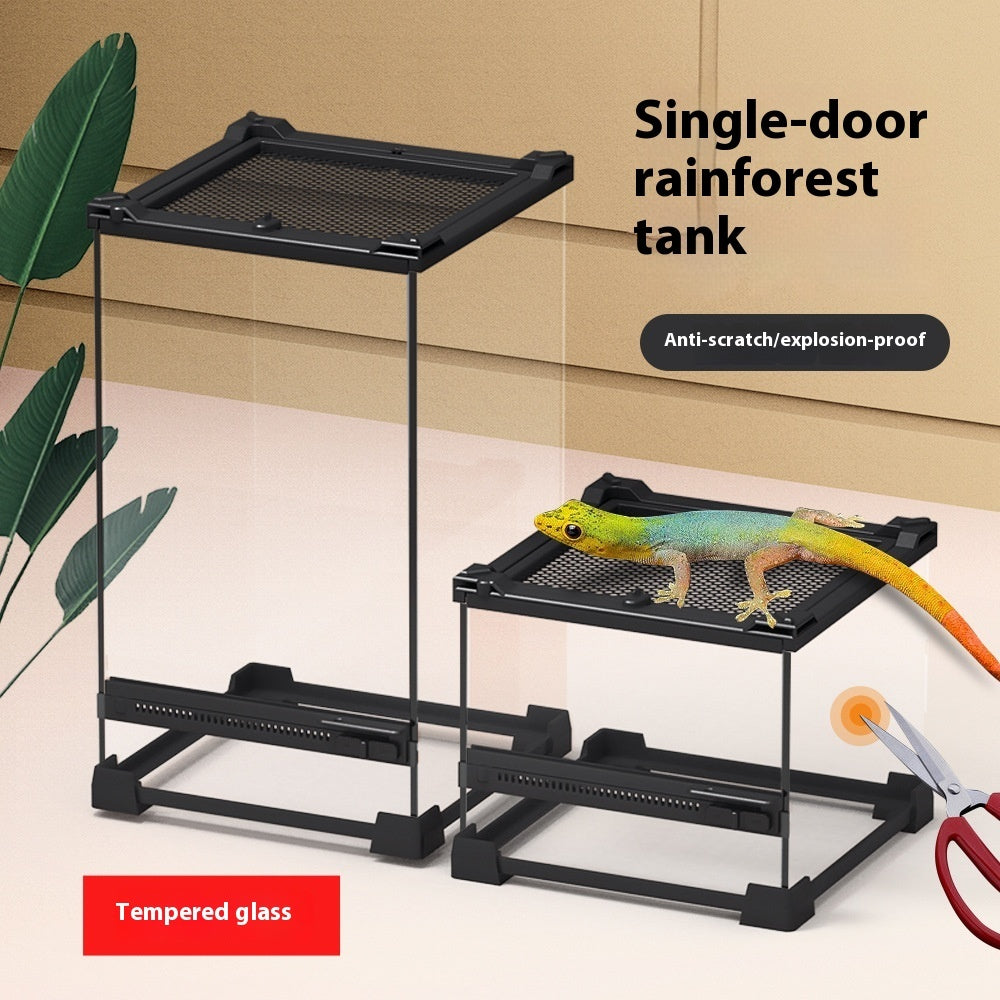 Mini Eco Terrarium for Lizards and Tiny Turtles