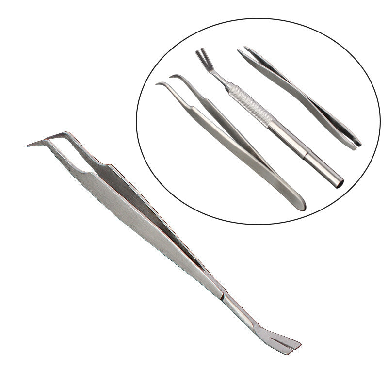 Pet-Friendly Tick Removal Tweezers, Stainless Steel