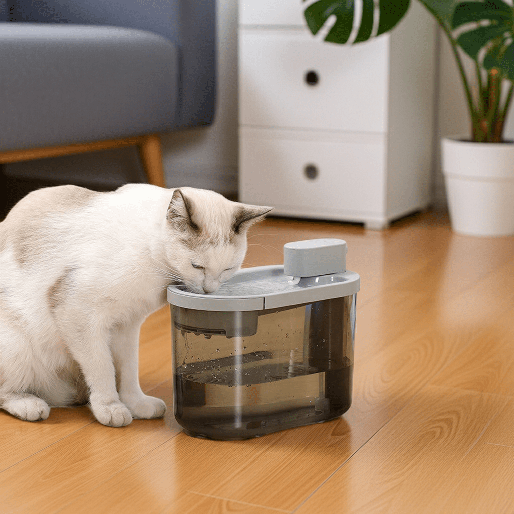 Cat drinking water from a pet fountain on a wooden floor.