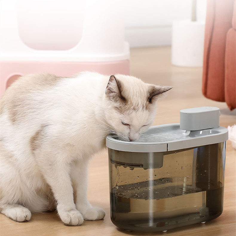 FreshFlow – Happy, Hydrated Pets