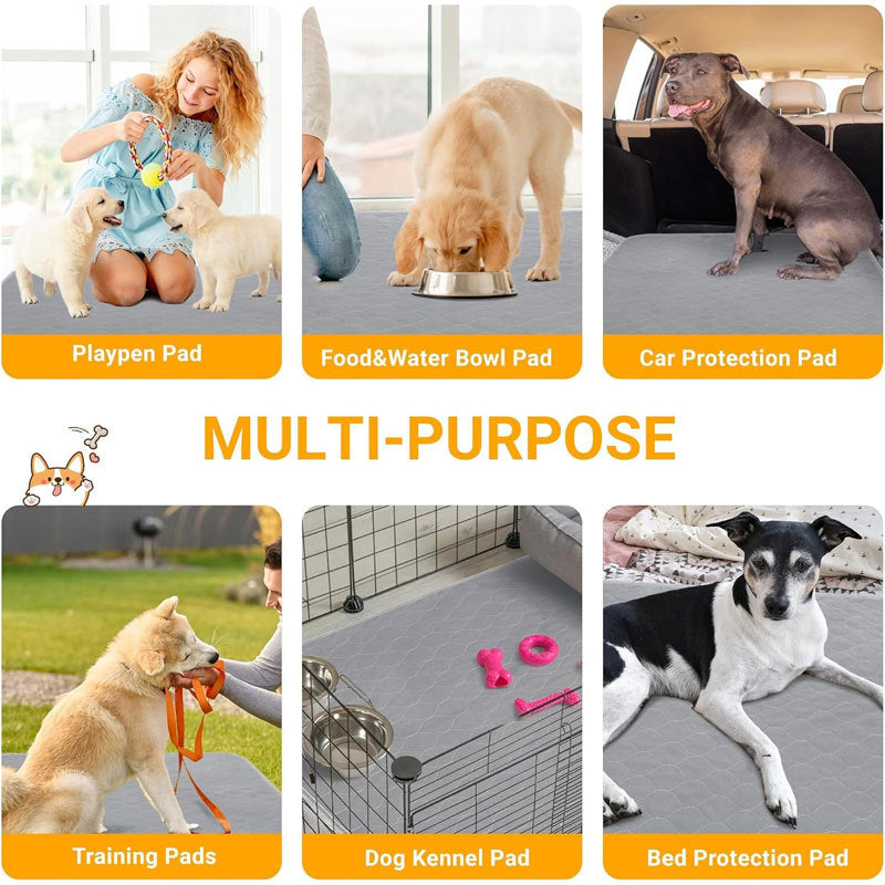 Premium Washable Pee Pads for Dogs & Puppies