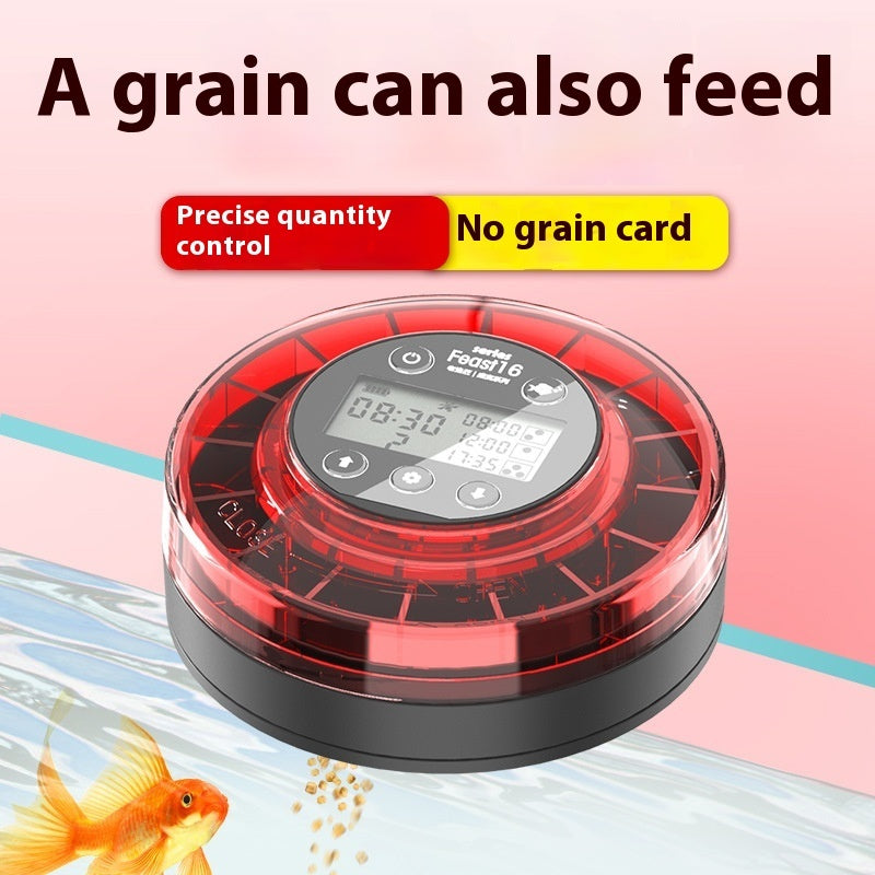 Timed Auto-Feeder for Fish