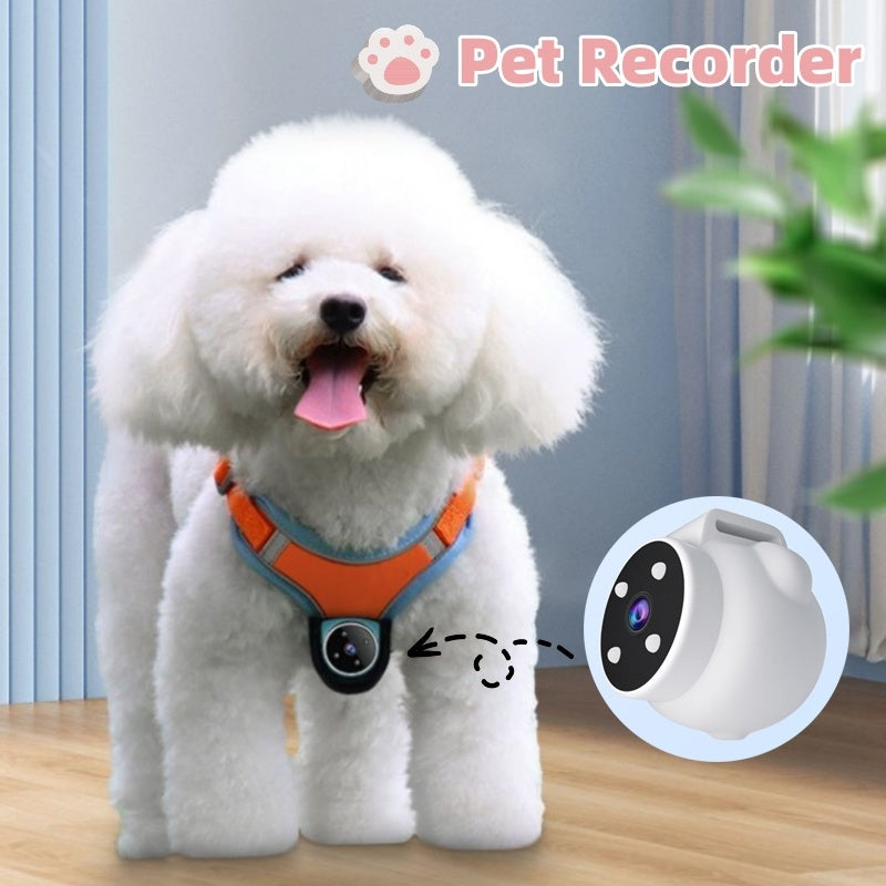 PetCam – See Life From Your Pet’s Eyes
