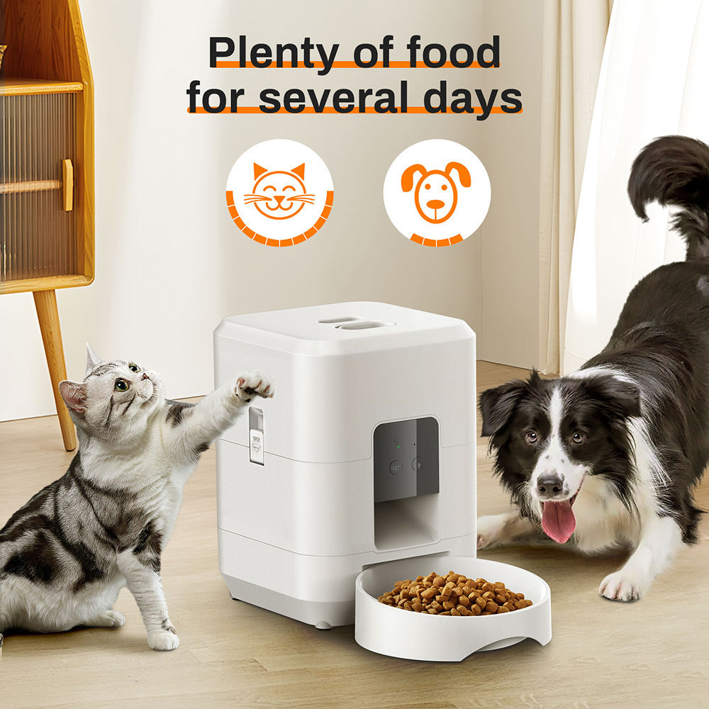 Pet Feeder Magic – Easy Meals for Your Furry Friend