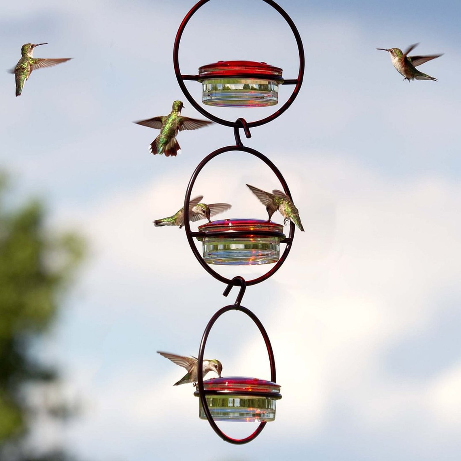 Metal Hanging Round Hummingbird Feeder