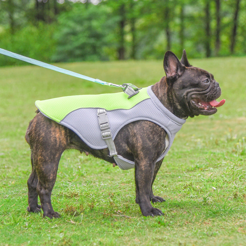 Chill Out: Breathable Cooling Vest for Dogs