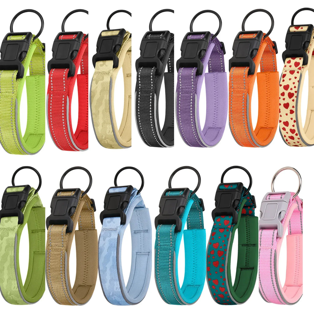 Complete Walking Kit | Everything You Need for Safe Walks - Ramon's Pet Boutique