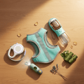 Summer Adventure Kit | Complete Dog Walking Bundle
